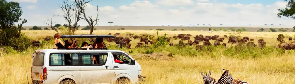 What to Expect on Your First Wildlife Adventure Africa Safari.