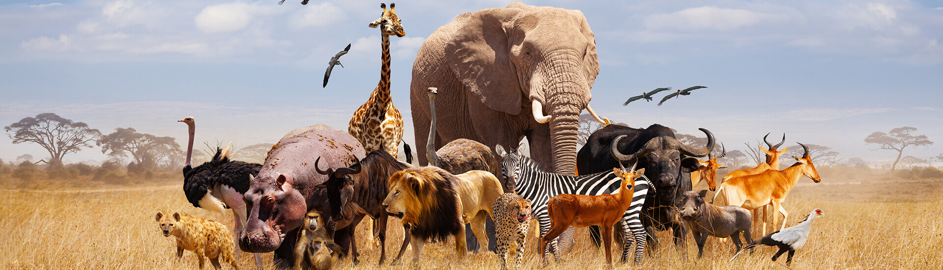 Destination banner image 1