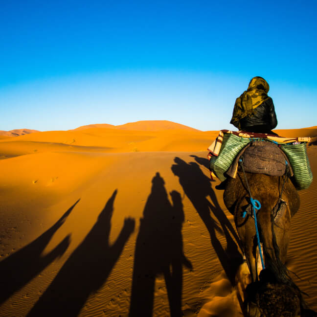Desert Expeditions