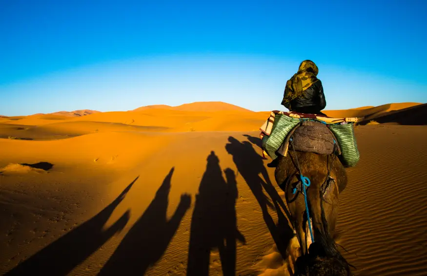 Your Trusted Travel Partner
