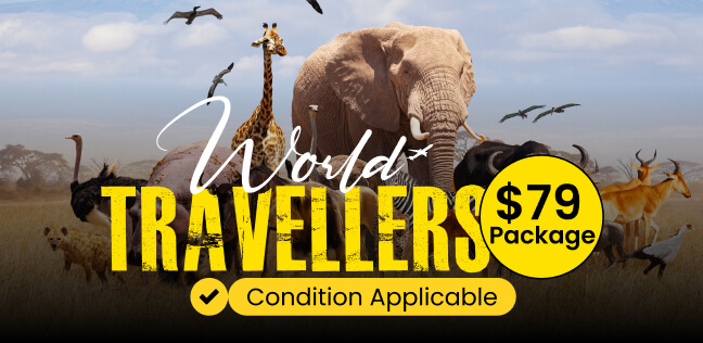 travel-agency-offer-card-img4